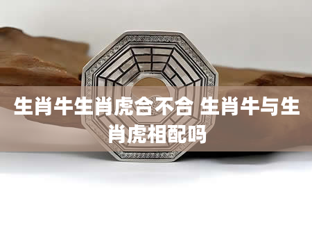 生肖牛生肖虎合不合 生肖牛与生肖虎相配吗