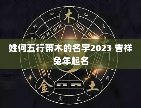 姓何五行带木的名字2023 吉祥兔年起名