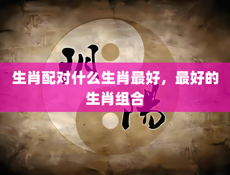生肖配对什么生肖最好，最好的生肖组合