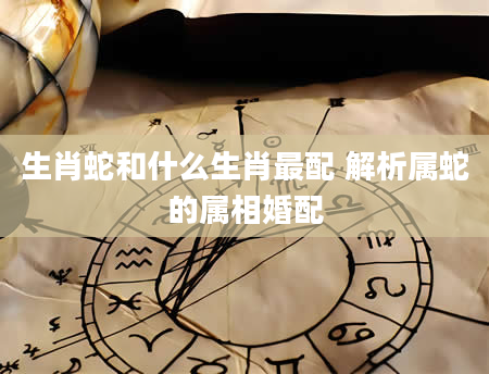 生肖蛇和什么生肖最配 解析属蛇的属相婚配