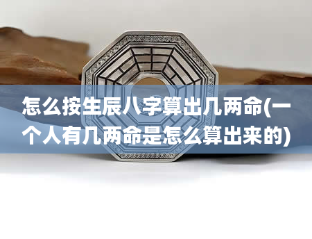 怎么按生辰八字算出几两命(一个人有几两命是怎么算出来的)