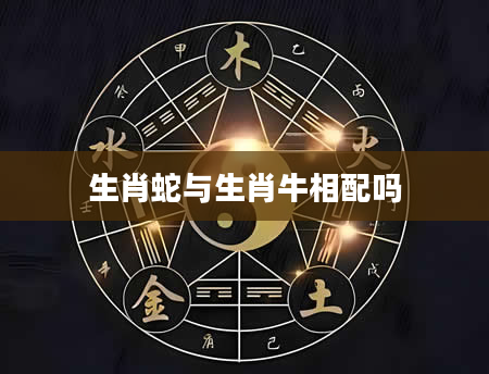生肖蛇与生肖牛相配吗