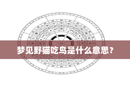 梦见野猫吃鸟是什么意思？