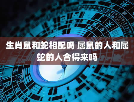 生肖鼠和蛇相配吗 属鼠的人和属蛇的人合得来吗
