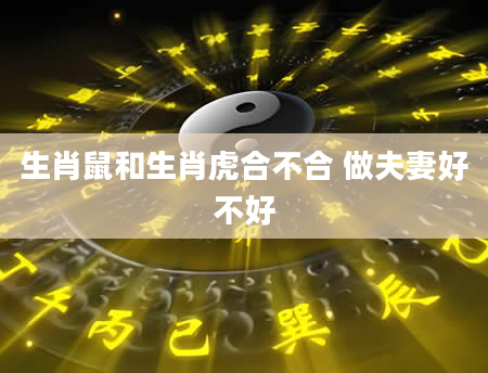 生肖鼠和生肖虎合不合 做夫妻好不好