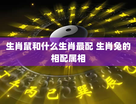 生肖鼠和什么生肖最配 生肖兔的相配属相