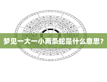 梦见一大一小两条蛇是什么意思？