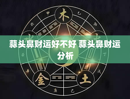 蒜头鼻财运好不好 蒜头鼻财运分析