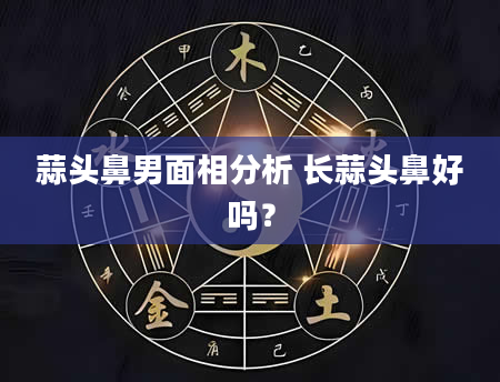 蒜头鼻男面相分析 长蒜头鼻好吗？