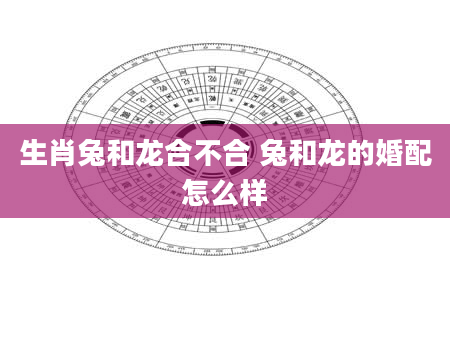 生肖兔和龙合不合 兔和龙的婚配怎么样