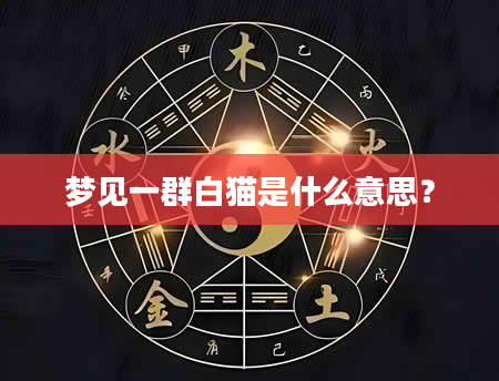 梦见一群白猫是什么意思？