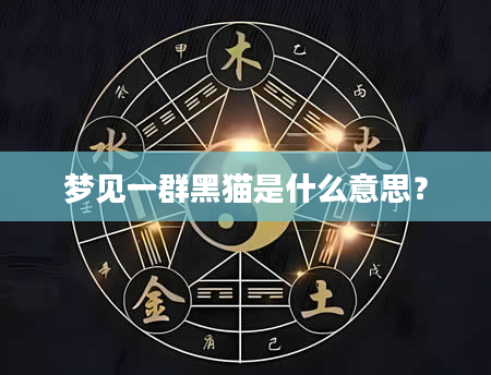 梦见一群黑猫是什么意思？