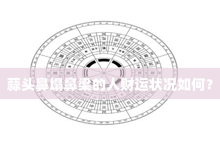 蒜头鼻塌鼻梁的人财运状况如何？