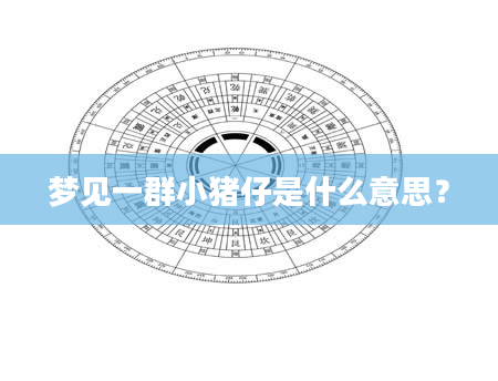 梦见一群小猪仔是什么意思？