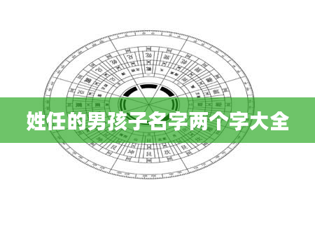 姓任的男孩子名字两个字大全