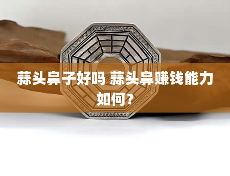 蒜头鼻子好吗 蒜头鼻赚钱能力如何？