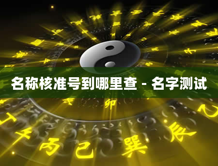 名称核准号到哪里查 - 名字测试