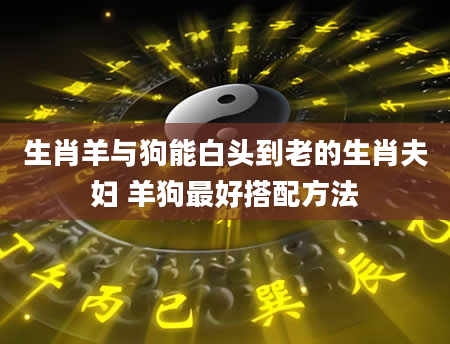 生肖羊与狗能白头到老的生肖夫妇 羊狗最好搭配方法