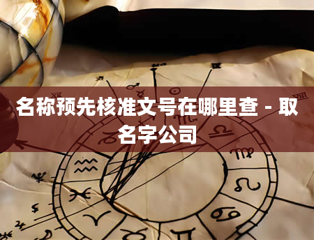 名称预先核准文号在哪里查 - 取名字公司