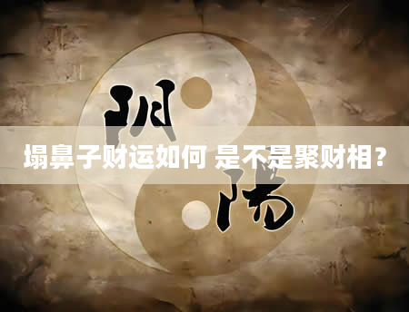 塌鼻子财运如何 是不是聚财相？