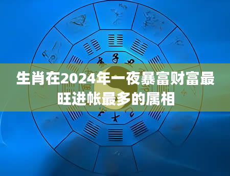 生肖在2024年一夜暴富财富最旺进帐最多的属相