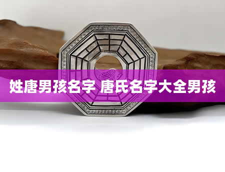 姓唐男孩名字 唐氏名字大全男孩