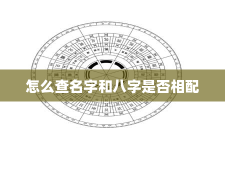 怎么查名字和八字是否相配