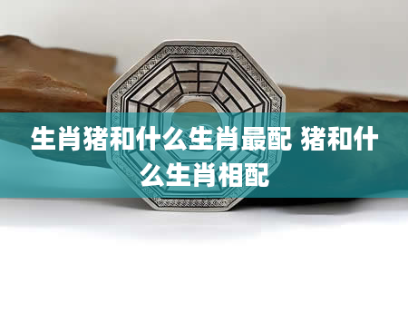 生肖猪和什么生肖最配 猪和什么生肖相配