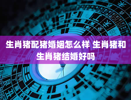 生肖猪配猪婚姻怎么样 生肖猪和生肖猪结婚好吗