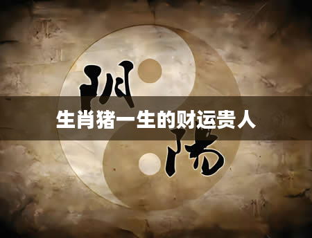 生肖猪一生的财运贵人