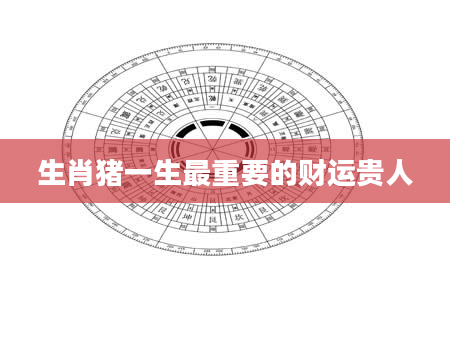 生肖猪一生最重要的财运贵人