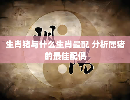 生肖猪与什么生肖最配 分析属猪的最佳配偶