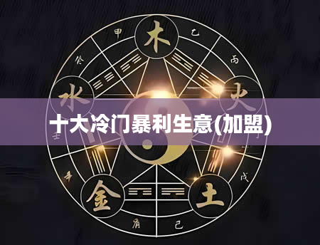 十大冷门暴利生意(加盟)