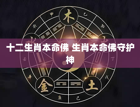 十二生肖本命佛 生肖本命佛守护神