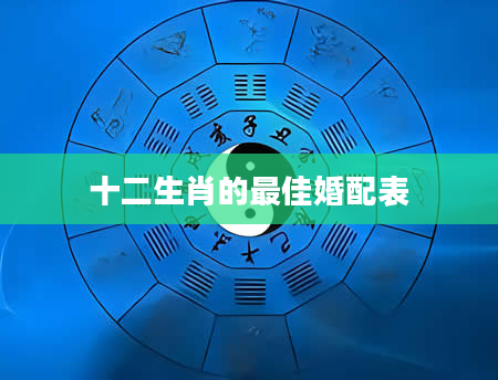 十二生肖的最佳婚配表