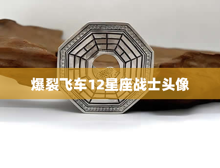 爆裂飞车12星座战士头像