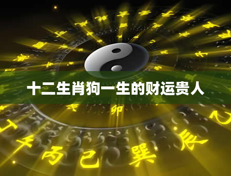 十二生肖狗一生的财运贵人