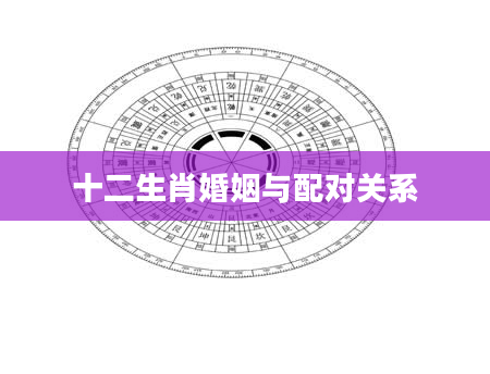 十二生肖婚姻与配对关系