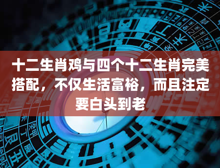 十二生肖鸡与四个十二生肖完美搭配，不仅生活富裕，而且注定要白头到老