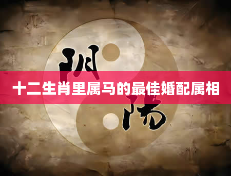 十二生肖里属马的最佳婚配属相