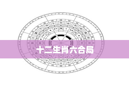 十二生肖六合局