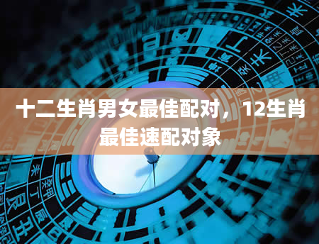 十二生肖男女最佳配对，12生肖最佳速配对象