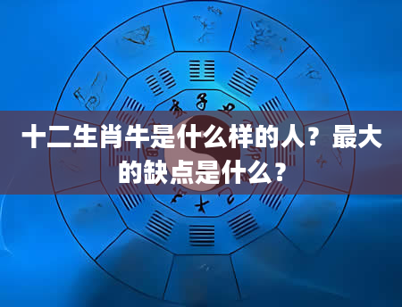 十二生肖牛是什么样的人？最大的缺点是什么？