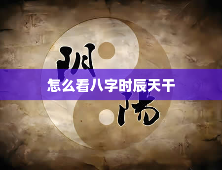 怎么看八字时辰天干