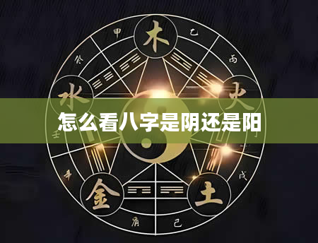 怎么看八字是阴还是阳