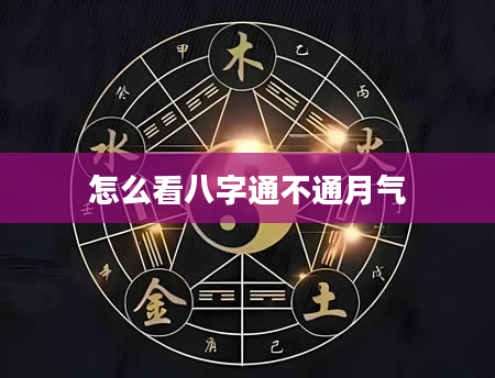 怎么看八字通不通月气