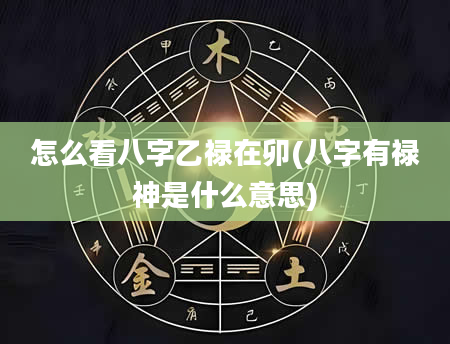 怎么看八字乙禄在卯(八字有禄神是什么意思)
