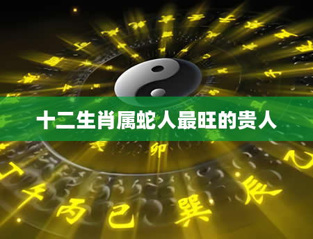十二生肖属蛇人最旺的贵人