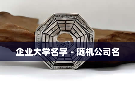 企业大学名字 - 随机公司名