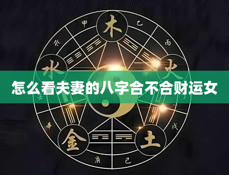 怎么看夫妻的八字合不合财运女